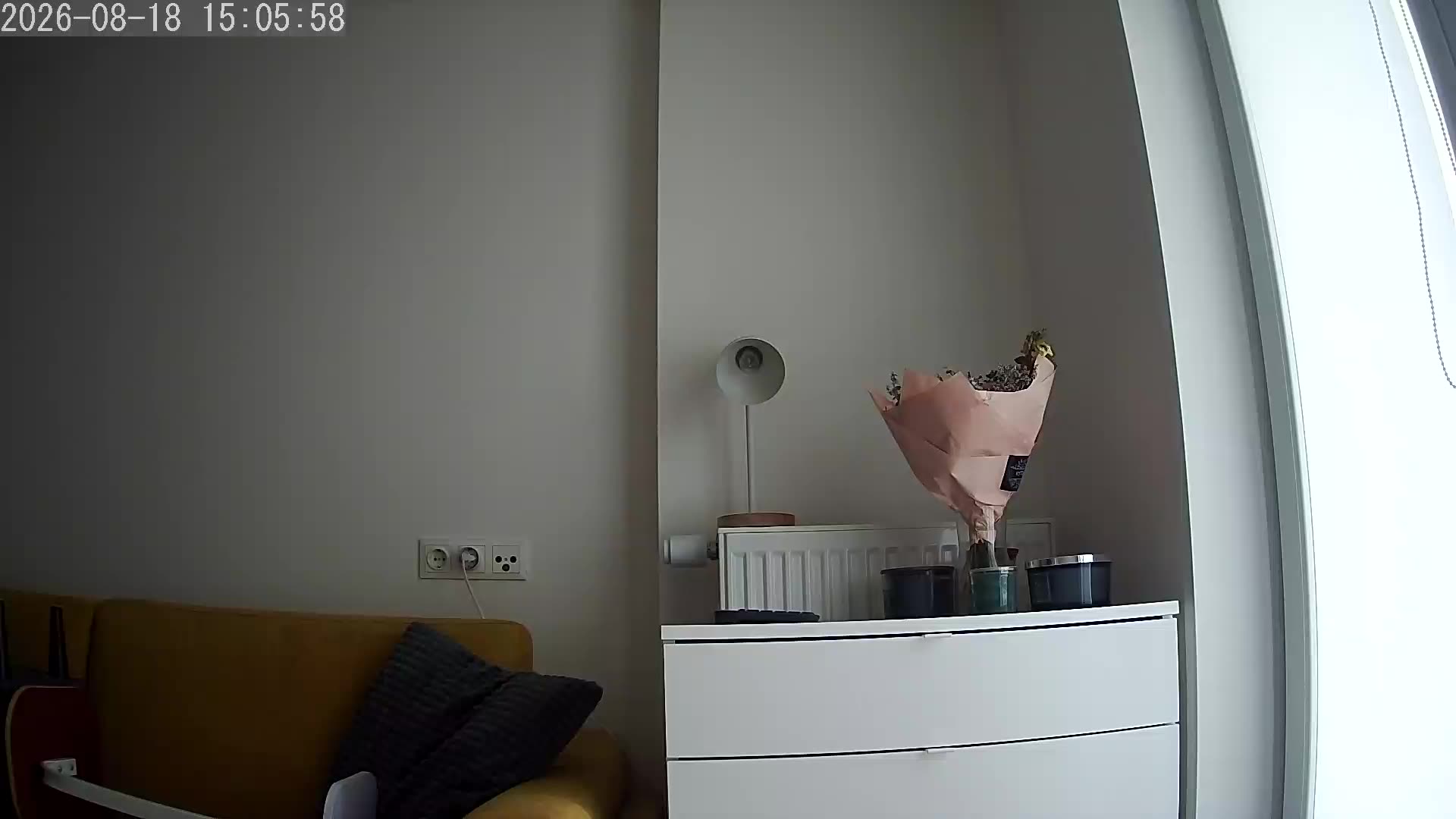 Live camera view